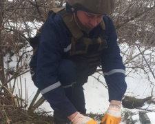 В Донецкой области уничтожили десятки опасностей