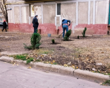 Жители ОСМД «Юбиляр-Авдеевка» обустраивают придомовую территорию в рамках конкурса «Преобразим Авдеевку вместе!» (ФОТОФАКТ)