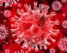 Новые инфицированные и летальный случай-коронавирус в Авдеевке
