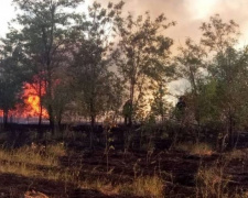 Пожарные на Донетчине за сутки ликвидировали  десяток пожаров на открытой территории