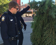 В США арестовали &quot;человека-дерево&quot; (ФОТО+ВИДЕО)