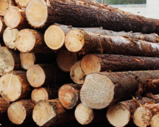 Львовщина отправит древесину для восстановления поврежденных домов Авдеевки