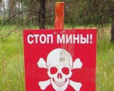 Опасность &quot;замедленного действия&quot;: в Донецкой области ликвидированы 6 взрывоопасных предметов