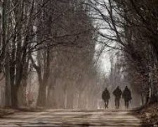 Число пропавших без вести на Донбассе заметно сократилось
