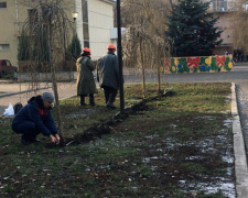 Авдеевка: «новогодними вандалами» оказались три девушки