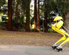 Двуногий робот Cassie освоил езду на гиророликах (ВИДЕО)