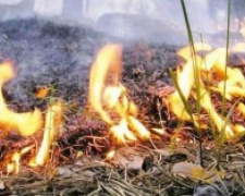 Чрезвычайная пожарная опасность не отступает от Донецкой области: за сутки 12 возгораний