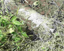 В Авдеевке пиротехники обезвредили головную  часть ракеты ЗРК &quot;ОСА&quot;  калибром 258 мм