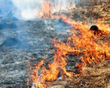 Пожежна небезпека: в місті Авдіївка палала трава