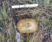 В Красногоровке мужчина хранил гранату на могиле своего брата