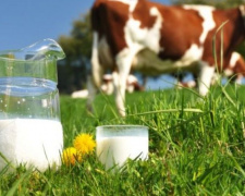 На Донетчине стали производить меньше молока