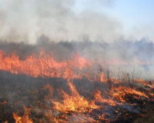 Донетчина в огне: новые данные от спасателей