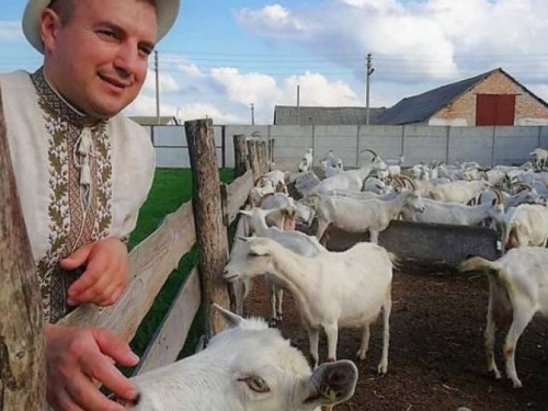 Фермеры из Киевщины разводят элитных коз и делают из козьего масла уникальное мыло