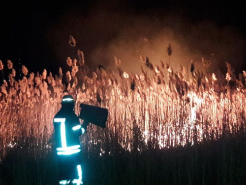 Теплая погода принесла хлопоты пожарным на Донетчине: массово горят сухая трава и камыш (ФОТО)