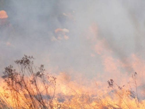 На открытых территориях Донетчины произошло почти 60 пожаров