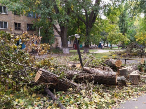 В Авдеевке продолжают спил аварийных деревьев (ФОТОФАКТ)