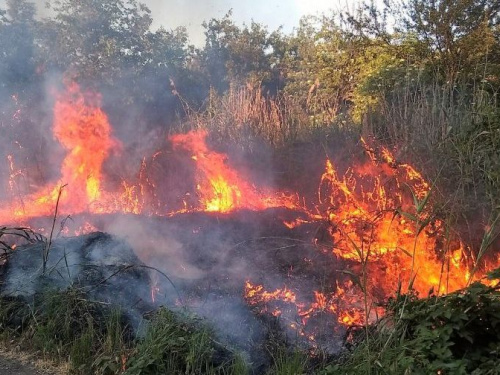 Донецкую область охватили пожары, горела и прифронтовая Авдеевка