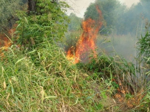 Пожары продолжают бушевать на открытых территориях в Донецкой области