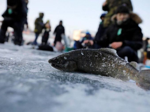 Авдіївців запрошують на перший обласний фестиваль зимової риболовлі: призовий фонд складає 1000 доларів