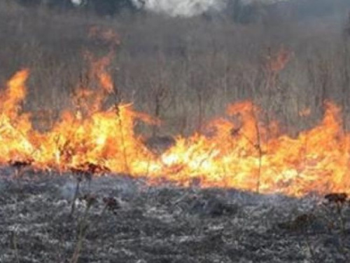 Более 40 пожаров под открытым небом произошло на Донетчине