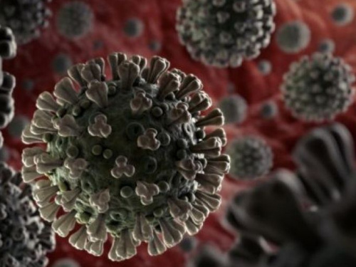 Ученые выяснили, как уничтожить коронавирус менее, чем за секунду