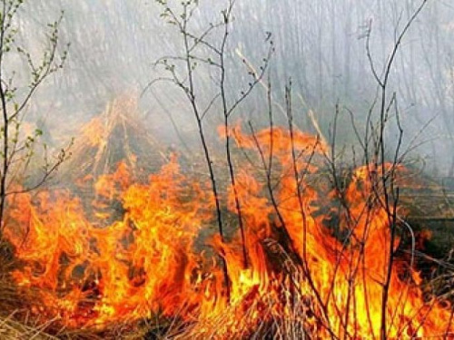 Многочисленные пожары ежедневно вспыхивают на Донетчине из-за жары и прогноз неутешительный