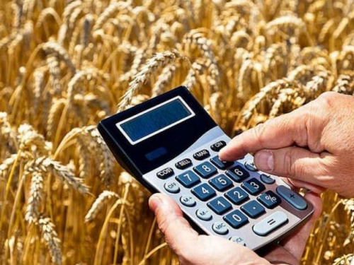 В Донецкой области аграрии получат доступ к кредитам в виде "аграрных расписок"