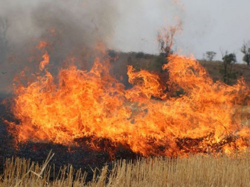 Жара и халатность привели к свыше 100 пожарам в Донецкой области за неделю