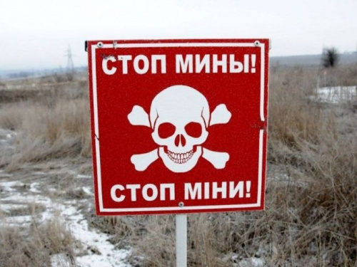 Детей Донбасса попытаются спасти от минной опасности