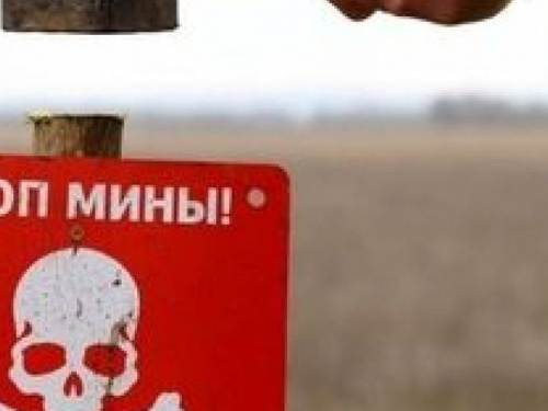 Три человека погибли на Донбассе за месяц из-за взрывоопасных предметов