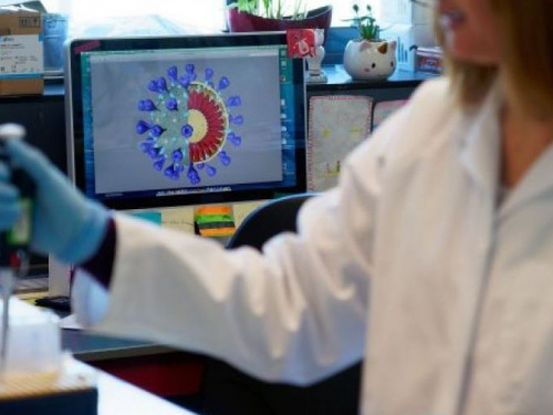 Украинский иммунолог объяснил, опасен ли новый штамм коронавируса Омикрон