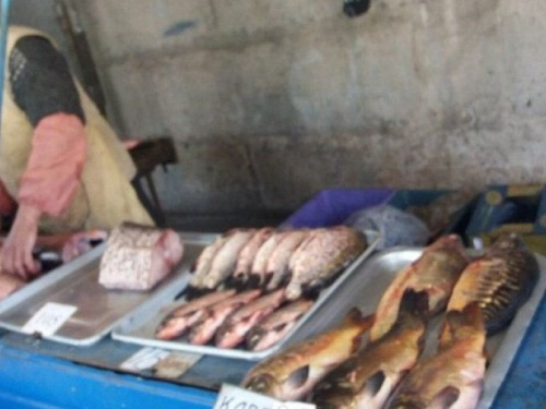 В Авдеевке полицейские разоблачили мужчину, который незаконно выловил около 24 килограмм рыбы