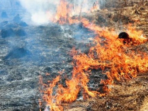Донецкая область более 50 раз горела в выходные