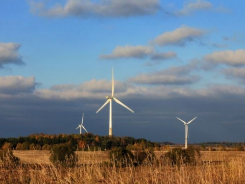 В Донецкой области планируют построить мощную ветряную электростанцию