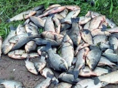 Мешканець Авдіївки відповість за незаконний вилов риби
