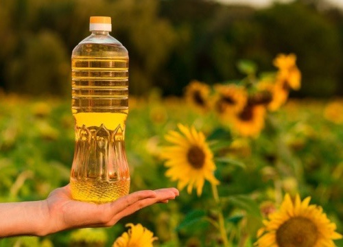 Обсяги виробництва соняшникової олії в Україні впали до 15-20 %