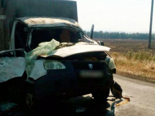 В Донецкой области на дороге на "Газель" упало дерево: два человека госпитализированы (ФОТО)