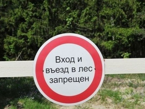 В Донецкой области запретили посещение лесов