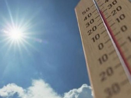 2022 год станет одним из самых жарких на Земле за все время наблюдений, - метеорологи
