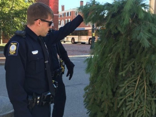 В США арестовали "человека-дерево" (ФОТО+ВИДЕО)
