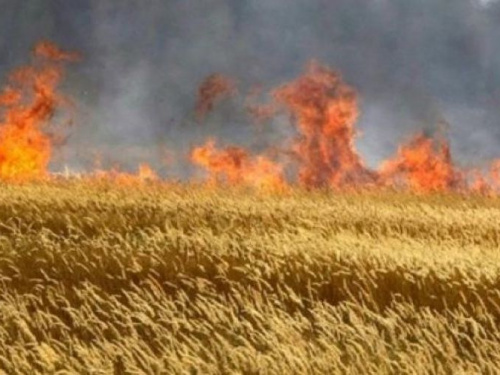 В Донецкой области наступает пожароопасный период