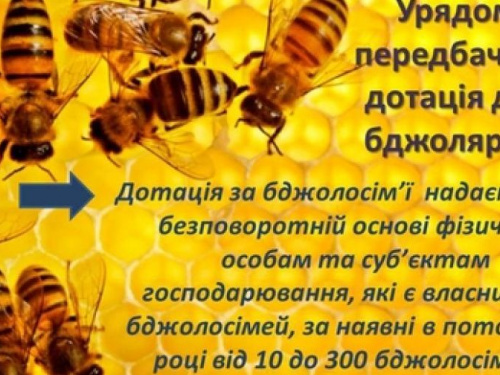 Пасечники Авдеевки могут получить дотацию на пчелосемьи