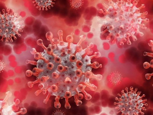 Уровень смертности в мире от коронавируса снизился на 30% с начала эпидемии