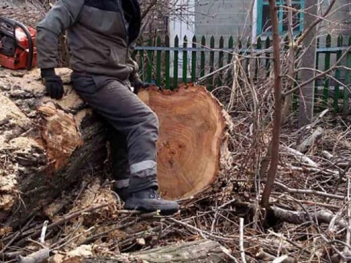Комунальники Авдіївки проводять санітарку обрізку та видалення аварійних дерев