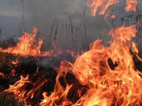 Донецкая область пылает, уровень пожарной опасности не снижается