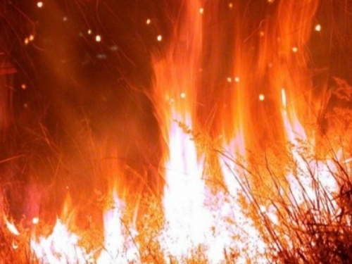В Донецкой области на выходных будет чрезвычайно пожароопасно