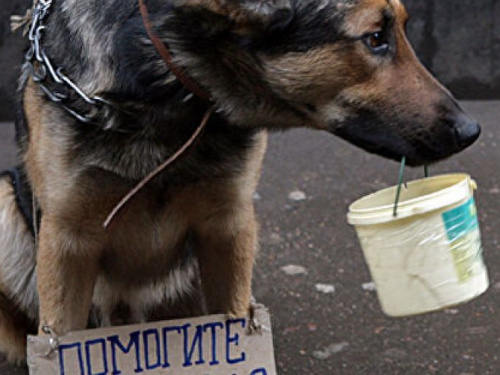 В Украине приняли важный закон о защите животных