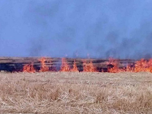 В Донецкой области объявлен самый высокий уровень пожарной опасности