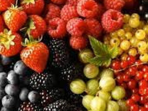 Какие фрукты и ягоды будут в дефиците на прилавках Авдеевки