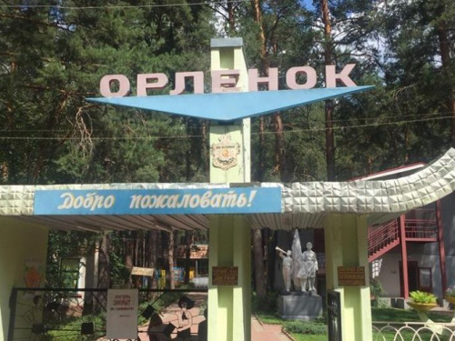 Первые 30 детей, отравившихся в лагере в Донецкой области, пошли на поправку